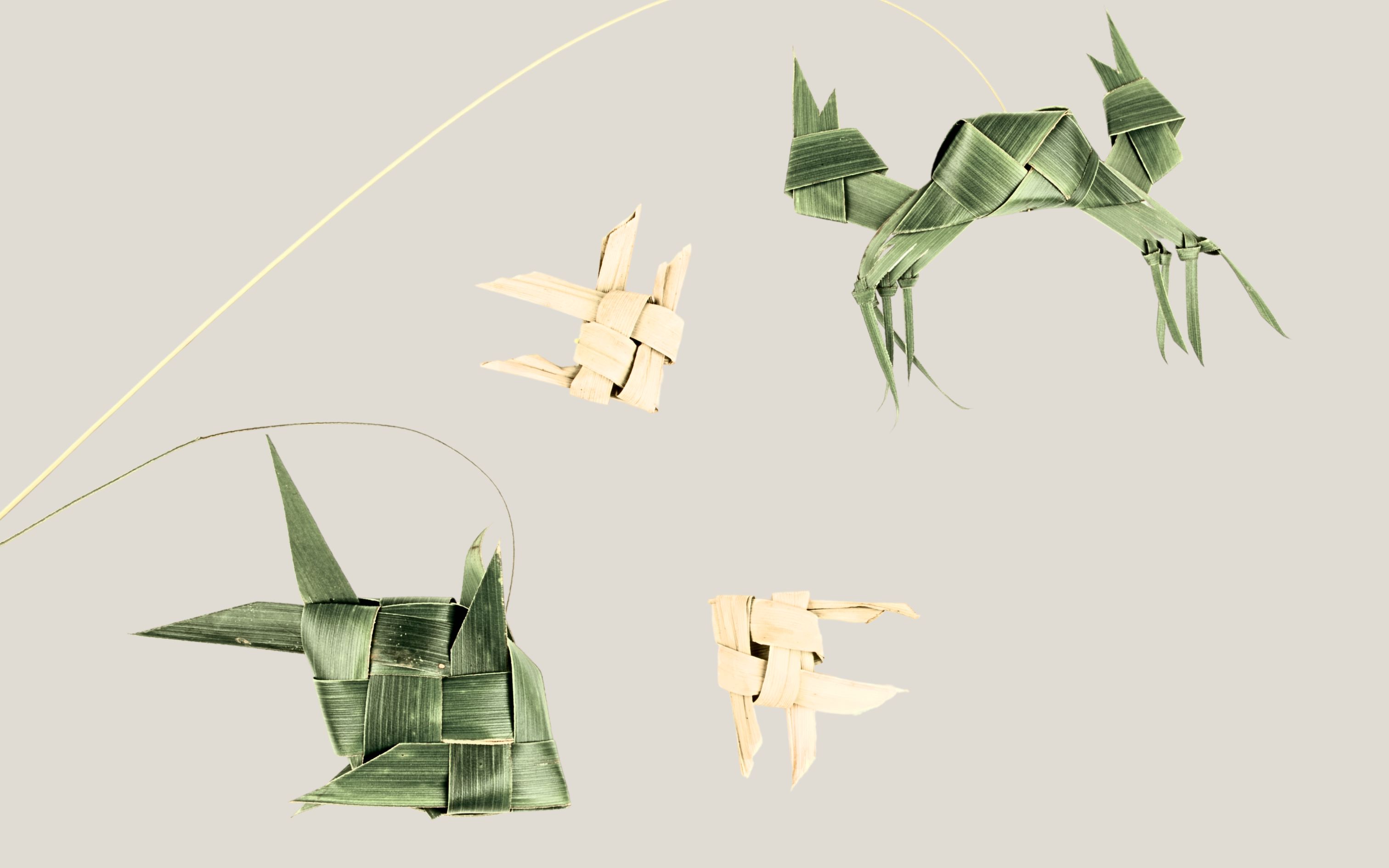 Coconut Leaf folding